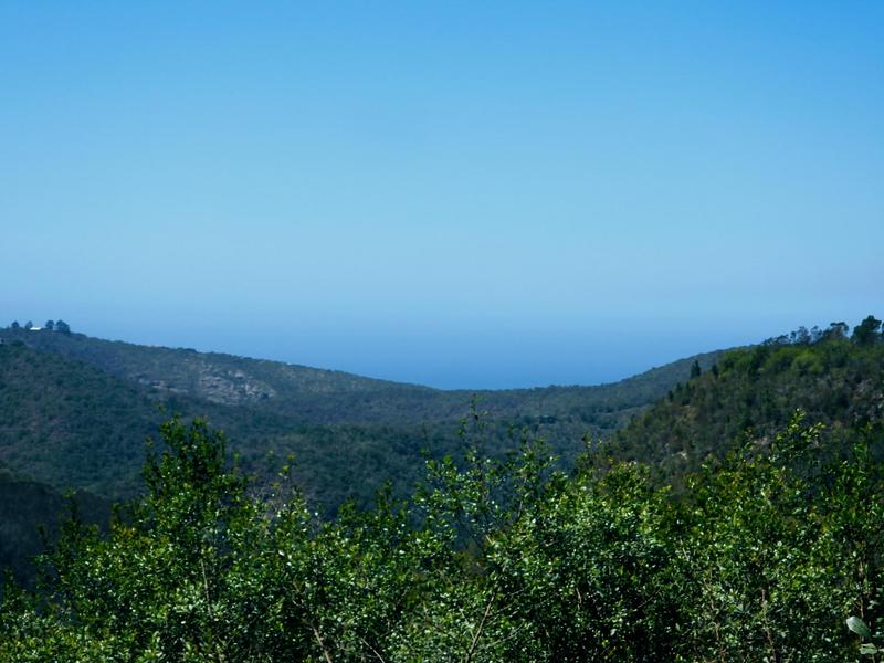 0 Bedroom Property for Sale in Hoekwil Western Cape